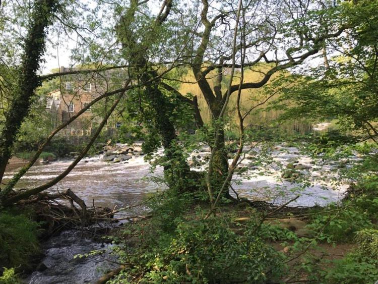 River Airebnb Брадфорт Екстериор снимка